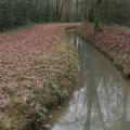 Img 20201217 145528 1