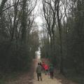 Img 20201217 160110 1